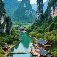 ZHEN FENG SHU JI NUO MI FAN User Photo