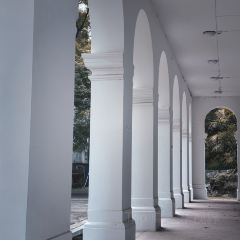 The China Harvest 여행 사진