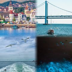 ROYAL OCEAN User Photo