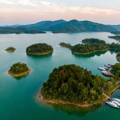 HONGCHI LAOMA SHENGTAI CANTING User Photo