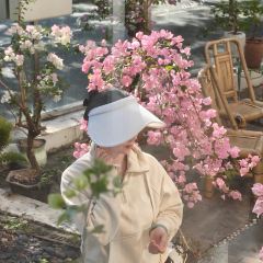 小清萊（惠城總店）張用戶圖片