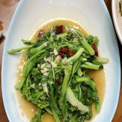 廣場飯店張用戶圖片