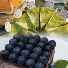 芝士就是力量 Cheeseful&Power User Photo