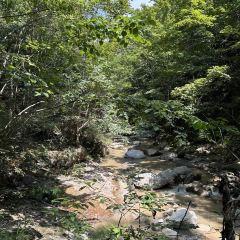 罗田天堂寨吊锅(英山店) User Photo