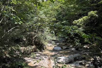 罗田天堂寨吊锅(英山店)