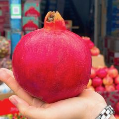 鱼众不同(博湖鱼庄分店) User Photo