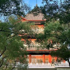 仙都辣酱鸭(总店) User Photo