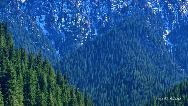 Urumqi Nanshan Scenic Area