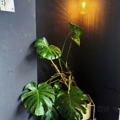 ONEWAY COFFEE User Photo