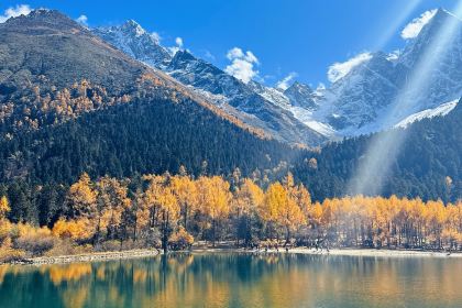 永利藏餐(马尔康八六藏餐分店)