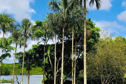 Capt. Groovy's Grill and Raw Bar