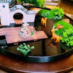 产芝渔家 User Photo