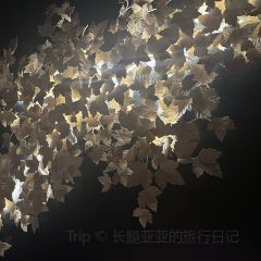 FONG SENSE User Photo