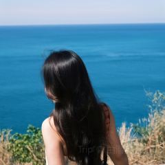 The Commune | Terrace & Bar User Photo