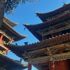 河东夜市 User Photo