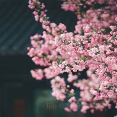 ou yun 여행 사진