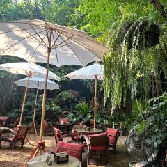 Fern Forest Café User Photo