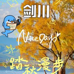 酥香園和尚喜洲破酥粑粑張用戶圖片