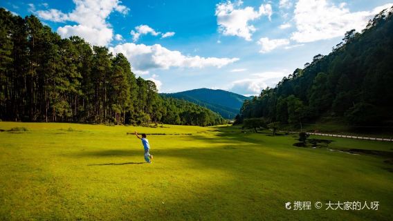 yun long xian da lang ba zi ran bao hu qu