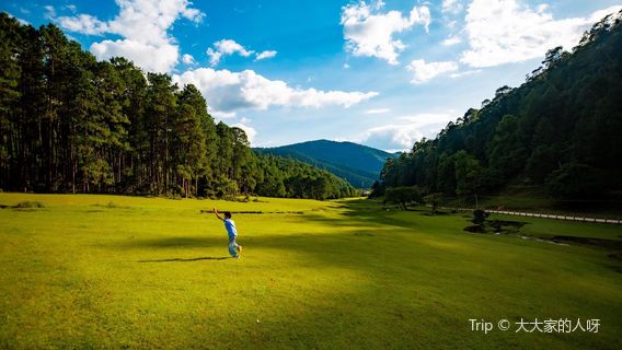 yun long xian da lang ba zi ran bao hu qu