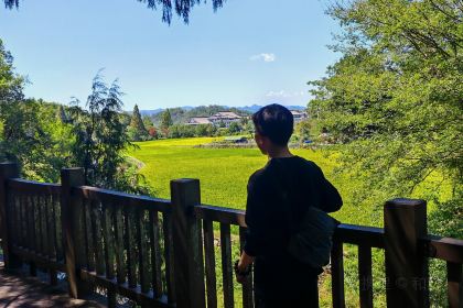 天缘阁素食餐厅