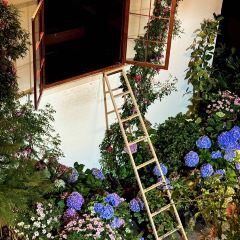 屋頂咖啡·日落甜茶·雪山花園 ·bistro張用戶圖片