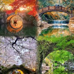 TAIHURENJIA·SUZHECAI User Photo