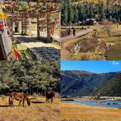 Dormito Cafe User Photo