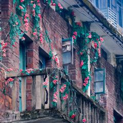 杨萍粉店 User Photo