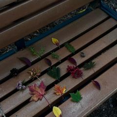 哎呀妈妈哟岚山豆腐木柴大锅鱼 User Photo