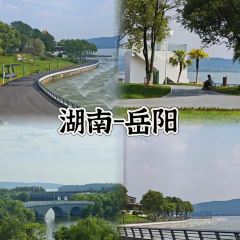 ZI WEI GUAN User Photo