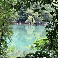 金弟炒螺蛳粉(驾鹤店) User Photo