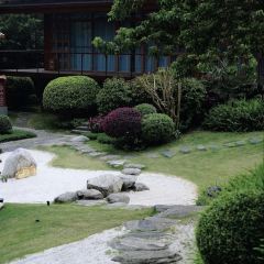 泰·咖啡 User Photo