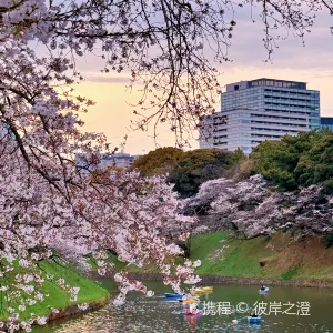 千鳥ヶ淵緑道