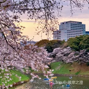 千鳥ヶ淵緑道