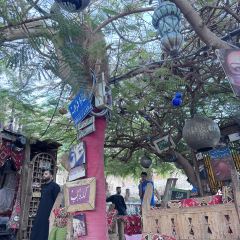 Farsha Cafe User Photo
