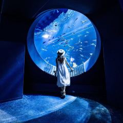 Kishimoto食堂（本店）張用戶圖片