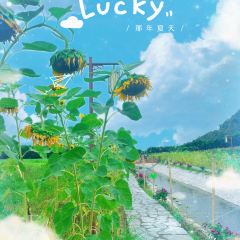 点将台庄园火锅 User Photo