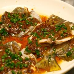 岐香村 User Photo