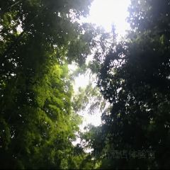 苏州环秀晓筑养生度假村·阅湖轩 User Photo