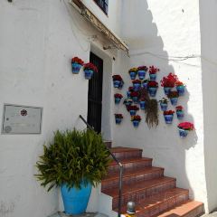 Peccati Di Gola User Photo