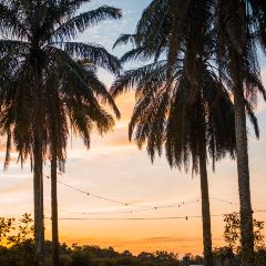 Dai Tao Lala Pot User Photo