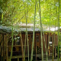 獨一處草堂張用戶圖片