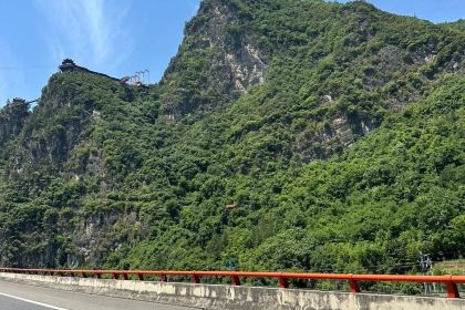 WEI ZHENG XIANG NONG GU CAI