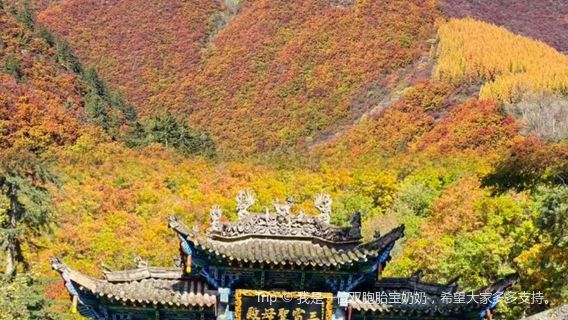 Lanzhou Xinglong Mountain Scenic Area East Mountain Scenic Area