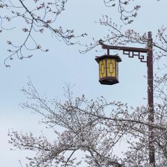 ou yun 여행 사진