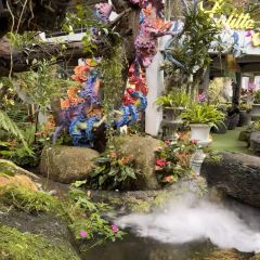Lalitta Café User Photo
