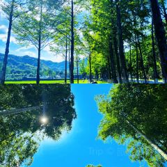 小杭坑2号营地 User Photo