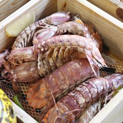 gan hai zheng xian User Photo