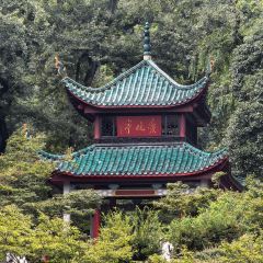 城牆人家酒樓張用戶圖片